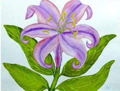 PAINTING WATERCOLOR ART LILY FLOWER PURPLE LAVENDER PINK 11 X14 AND MAT 16X20