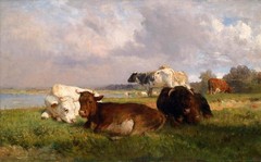 Large Oil painting animals cows have a rest on the grass by river no framed 36″