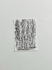 ACEO Original Pen And Ink Lanscape Nature Sketch Drawing Miniature Art