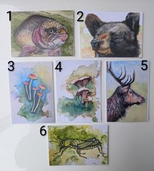 Aceo Nature 3 Pack Of Limited Edition Prints Watercolor Signed 3.5 X 2.5
