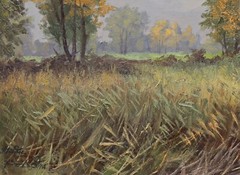 Signed Oil Painting Heinz Roder Landscape With Meadow – Framed, OOAK