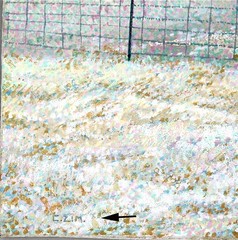 Vintage Country side Landscape original acrylic painting artist Carl Zimmerman