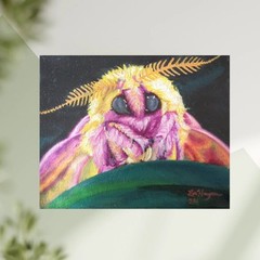 Moth on Leaf Original Oil Painting