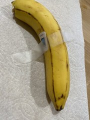 Real Banana Art