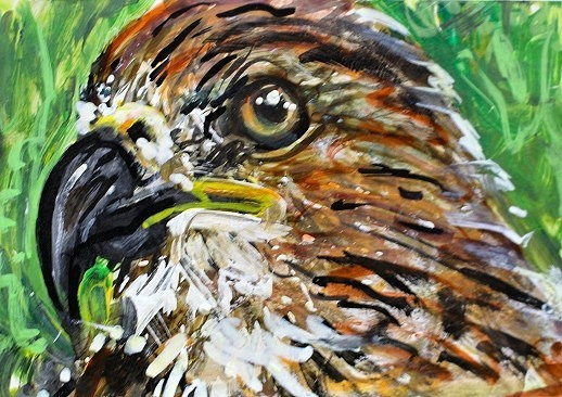 ORIGINAL ACEO Painting Red Tail HAWK Spring BIRD Nature Tree Predator ATC ART