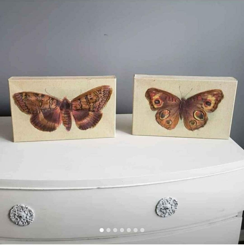 Butterfly and Moth Realistic Acrylic Canvas Painting Set Handmade