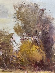 Hungryartist -NYartist Original Oil Painting of Landscape Canvas 12×16 Framed