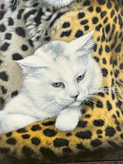 Fabrizio (Fuz) Caforio CHEETAH & CAT Signed & Framed Acrylic on Canvas 24” x 29”
