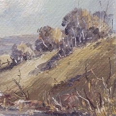 Vtg Zdeny Stodulka Signed Oil Painting Australian Impressionist Landscape Frame