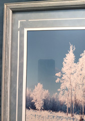 Frosty Trees Framed Art Print by R. Bienia 15 5/8″ x 12 5/8″ Sighed