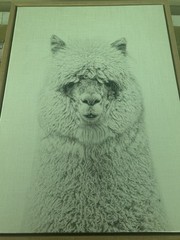Alpaca Black And White Painting With Frame stunning And Gorgeous