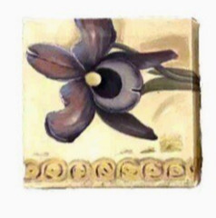 Botanical Floral Canvas Wall Art Set of 3 Flower Prints Farmhouse Floral 7 x7″