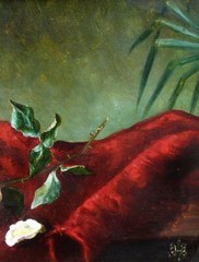 Fine still-life. Pink rose on a red velvet cloth. Ca 1880. Signed.