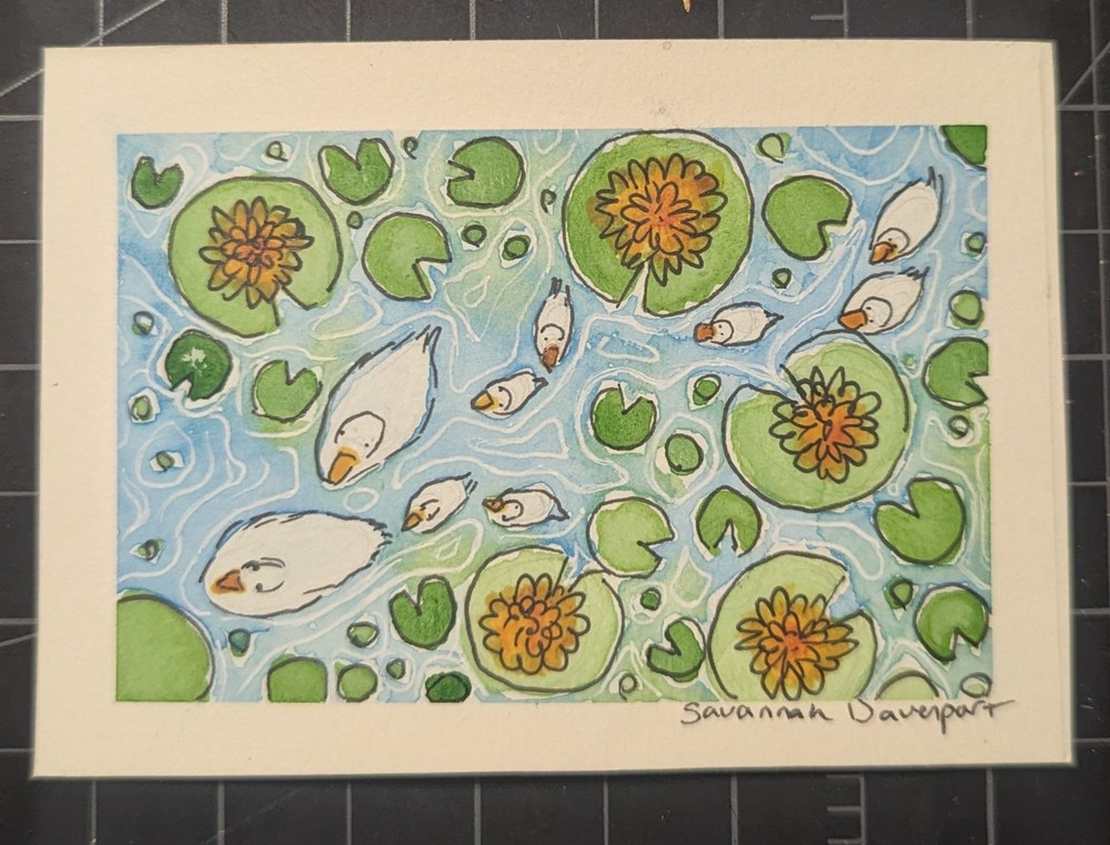 ACEO Art Cards PRINT Watercolor Ducks in Pond Water Series 1, 9/9