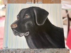 Original oil painting 11 x 14 inches handsome black Labrador retriever dog