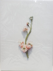 12 x 16 Canvas Flower Pictures set of 3 With Wood Frame & Mounting Screws