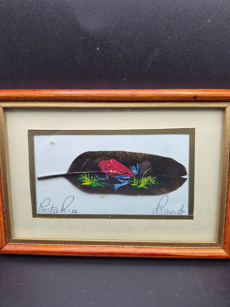 Hand-Painted Feather Art Costa Rica Red Frog Framed 6.5×4.5 Signed Jose Garro