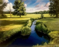Oil Painting Original Landscape Grassy Field Waterhole Cloudy Summer 16x20Canvas