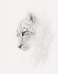 Set of 4 Framed Animal Art Eagle Horse Snow Leopard Owl Black White Glass