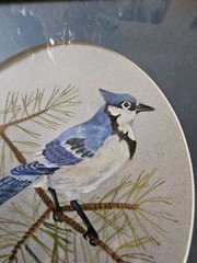 VTG 1988 Orig Blue Jay Watercolor Framed & Matted Signed Yvonne Lowrie 15″ X 12″