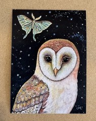 Barn Owl ACEO Magnet Print Limited Edition Mini Bird Art. Luna Moth. Night Stars