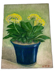 VINTAGE primroses hand painted ORIGINAL oil PAINTING flowers floral by Uzo yello