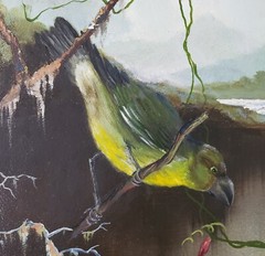 Vintage Signed Dowling Painting Orchid Tropical Orchid Bird after Martin Heade