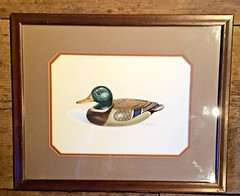 WATERCOLOR ON PAPER OF MALLARD DECOY SIGNED RON SAPORITO CT LYME ART ASSN ARTIST
