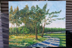 Evening Wood Original Oil Painting Cardboard 16×20 Hand Painted JSArt