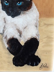 Siamese Cat Original Painting Pet Art Framed 12 by 9 Cat Blue Eyes Oil Painting