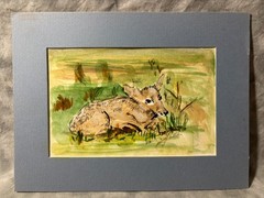 1970s Vtg Signed JL Martin Watercolor Fawn Deer Painting Matted Original 🦌