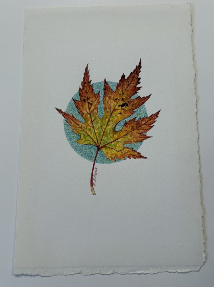 Original Painting Maple Leaf Fall Autumn Botanical By Gilliland Watercolor Mixed