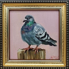 Pigeon Original Oil Painting 4×4 Framed Signed Gray Bird Pink Miniature Art
