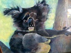 Original Koala Bear Oil Painting Signed C. Huntington Framed Wildlife Art 18″