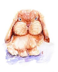ORIGINAL Art Watercolor painting Bunny Rabbit Hare Pet Artwork Animal 8×10″