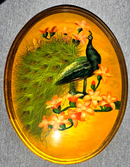 Vintage Oval Picture of a Peacock & Flowers, Convex Wall Art, 18.5″ x 15″