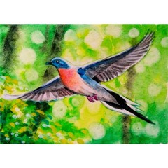 Original ACEO Passenger Pigeon Water Color Painting Miniature Art OOAK Birds
