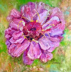 Pink Zinnia Oil Painting 20×20″, Original Art Floral Wall Art, Large Flower