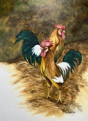 Original Watercolor Painting Two Roosters Chickens Artwork 20×15” Animal McCoy