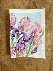ACEO Original iris flowers, abstract botanical illustration floral 2.5×3.5in