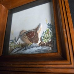 Joseph Quinn Whipple Abercrombie & Fitch 3D SHADOWBOX Pair Birds Woodcock Quail