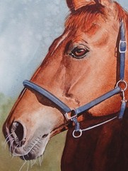 ORIGINAL Watercolor Painting “ Alazán“ 9″ X 11″