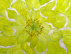 PAINTING WATERCOLOR 11X14 AND WHITE MAT 16X20 FLOWER PEONY GREEN YELLOW ORIGINAL