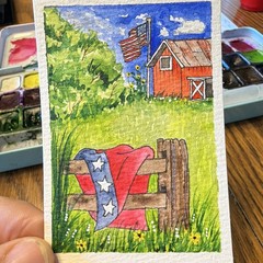 Donna Hawk ACEO Original Miniature Watercolor „Home of the Free“ Signed
