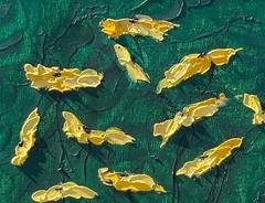 Yellow Poppies on green painting on canvas original by artist 20in x 20in