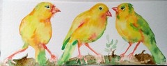 Yellow canaries,Bird art Original watercolor painting,nature lover unique gift