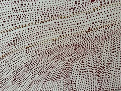 Dorothy Napangardi . Authentic Collectable Aboriginal Art, Incl Working Photos.