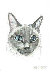 ACEO Original Watercolor Painting 2.5″x3.5″ Siamese Kitty Cat Pet Portrait