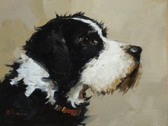 Oil painting of a jack Russell dog – original portrait by UK artist j payne