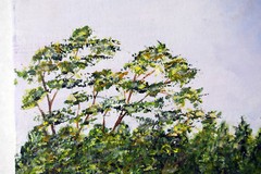 12″ Oil Painting 1960s Signed Sara Vines Old Wooden Cabin Forest View Trees